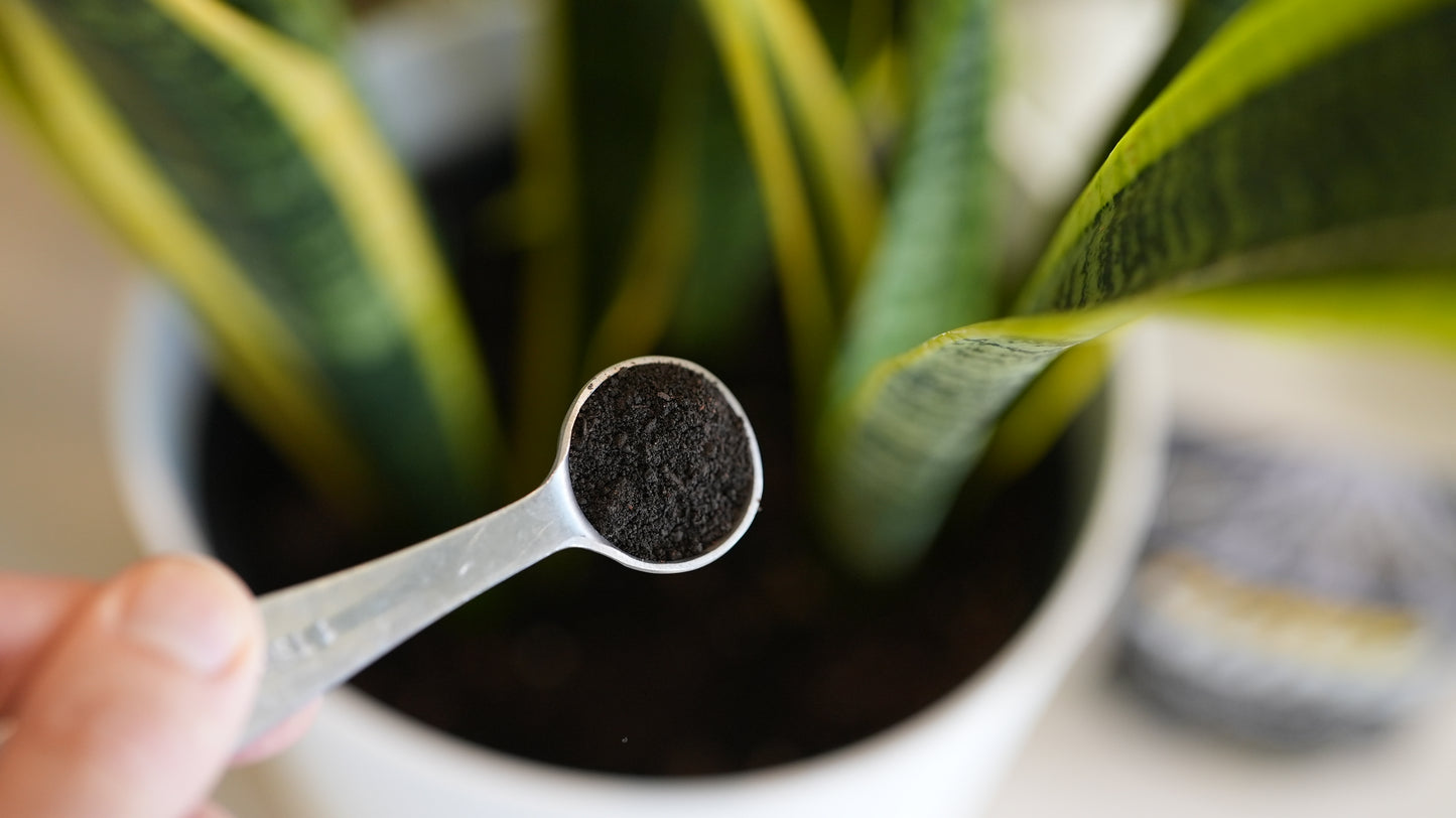 Turbo Hume Soil Builder