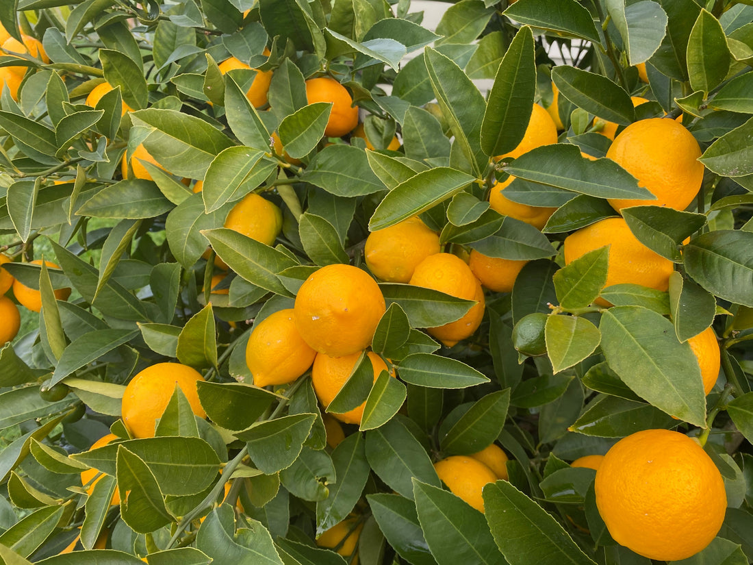 The Little Things Matter