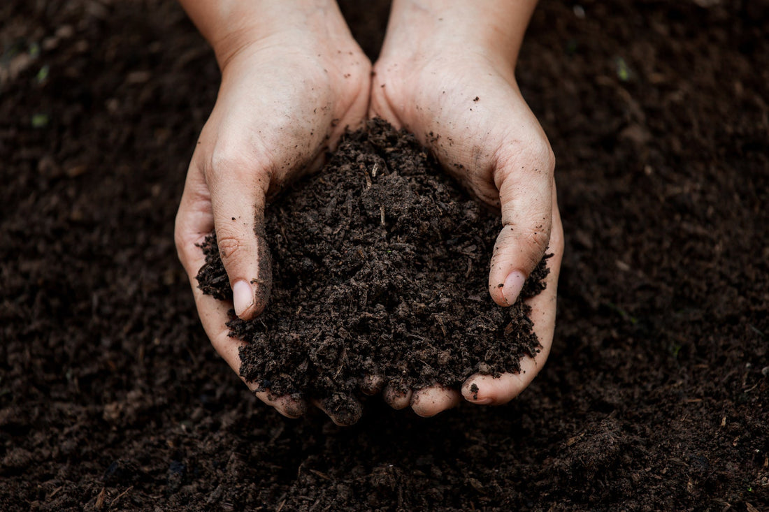 The Soil Eats First - Teregen Ag