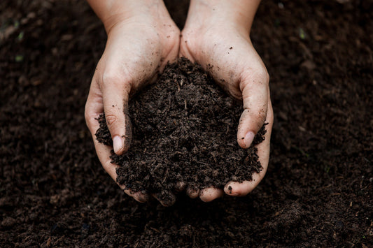 The Soil Eats First - Teregen Ag