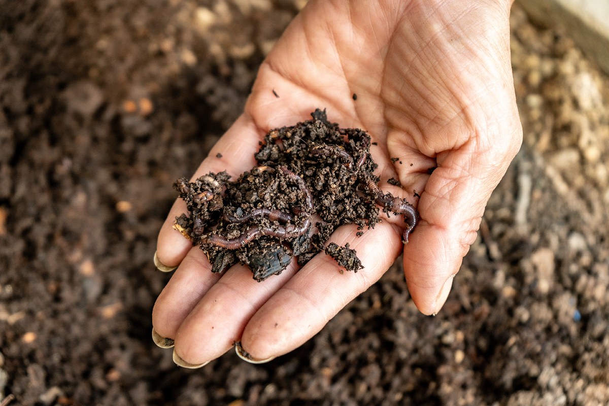 Turbo Hume Soil Builder