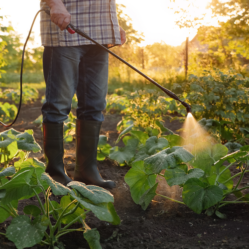 Bloom Champion Foliar Fertilizer
