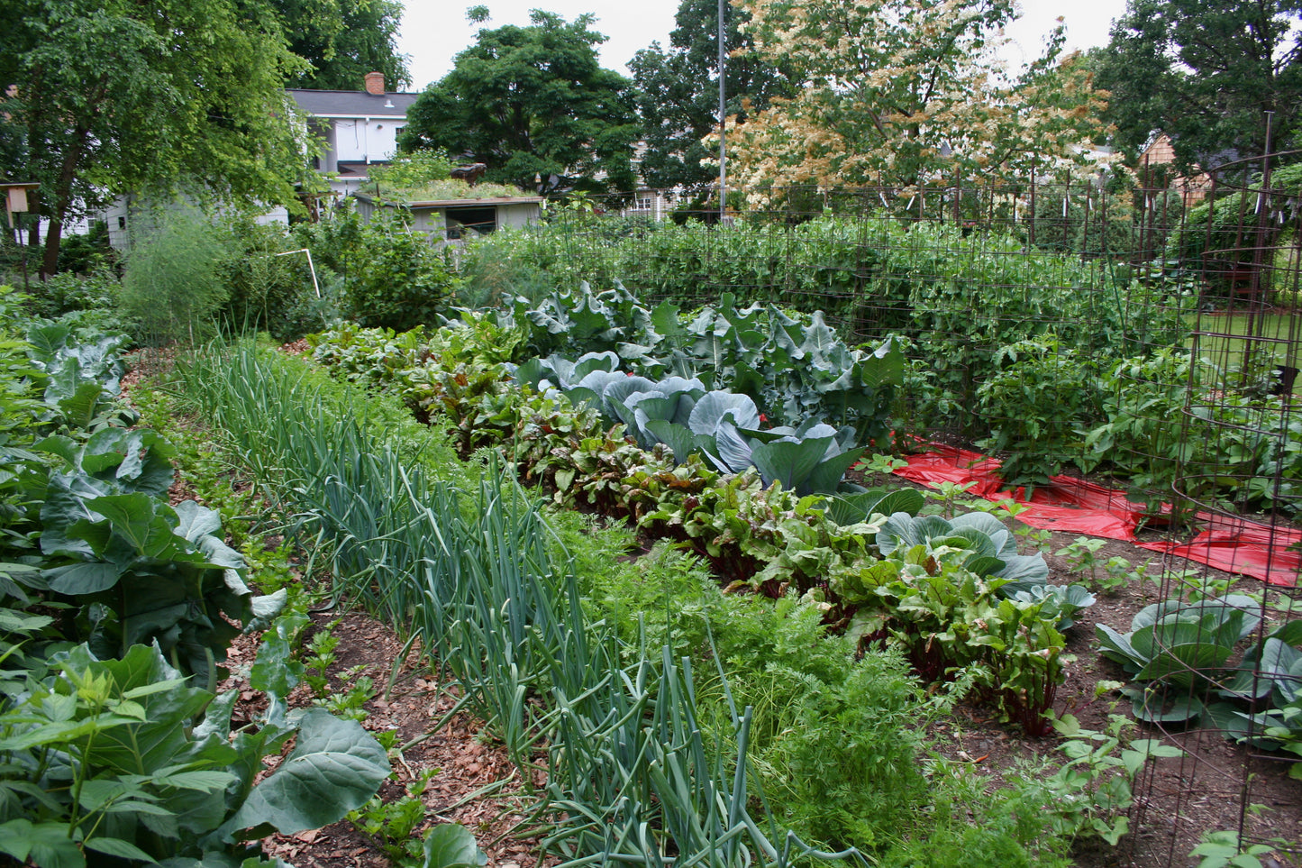 Grow Champion Foliar Fertilizer
