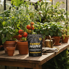 Turbo Hume Soil Builder